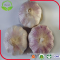 2016 New Crop Fresh Normal White Garlic